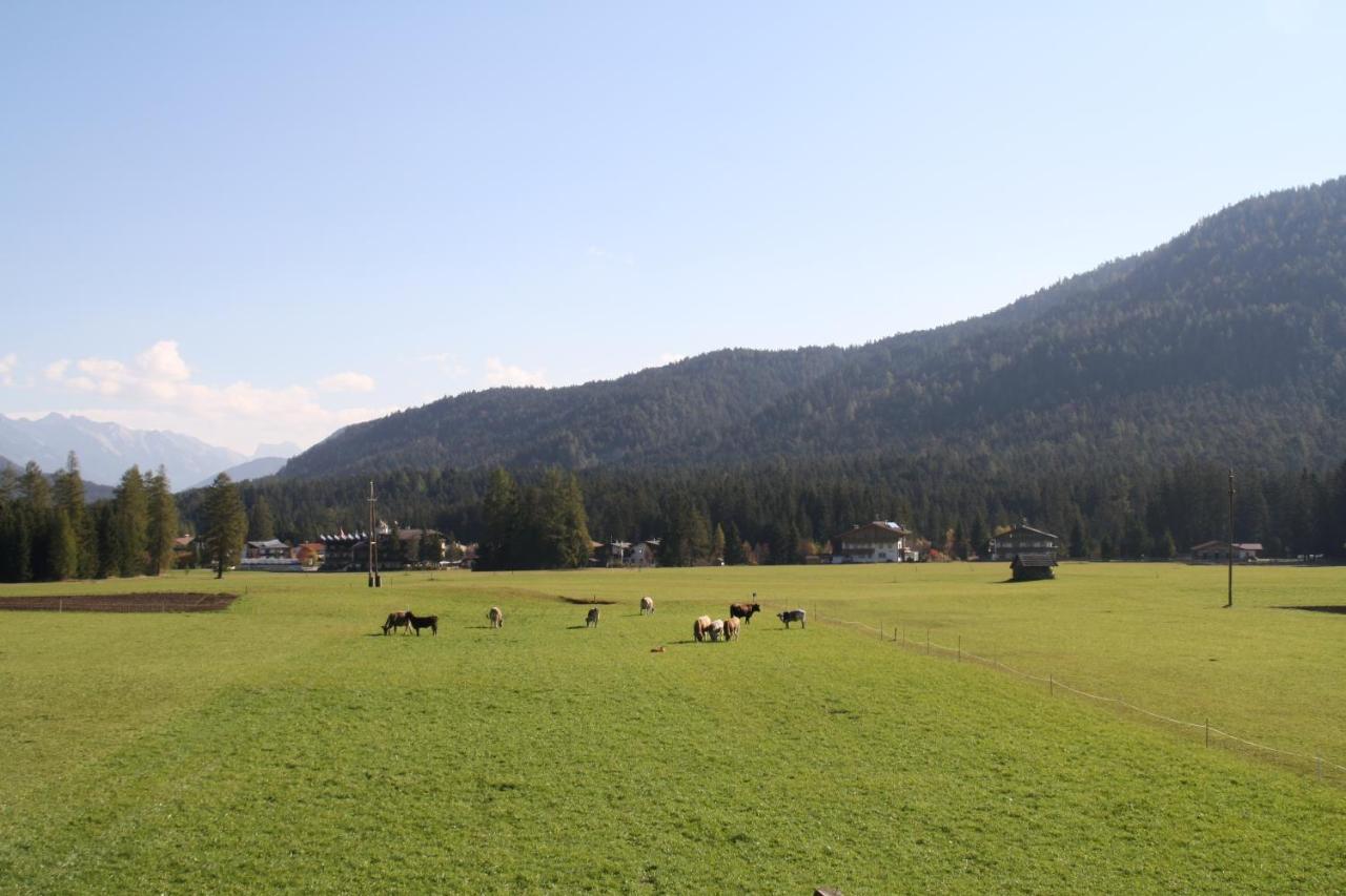 Wirtseppelerhof Apartments Leutasch Dış mekan fotoğraf